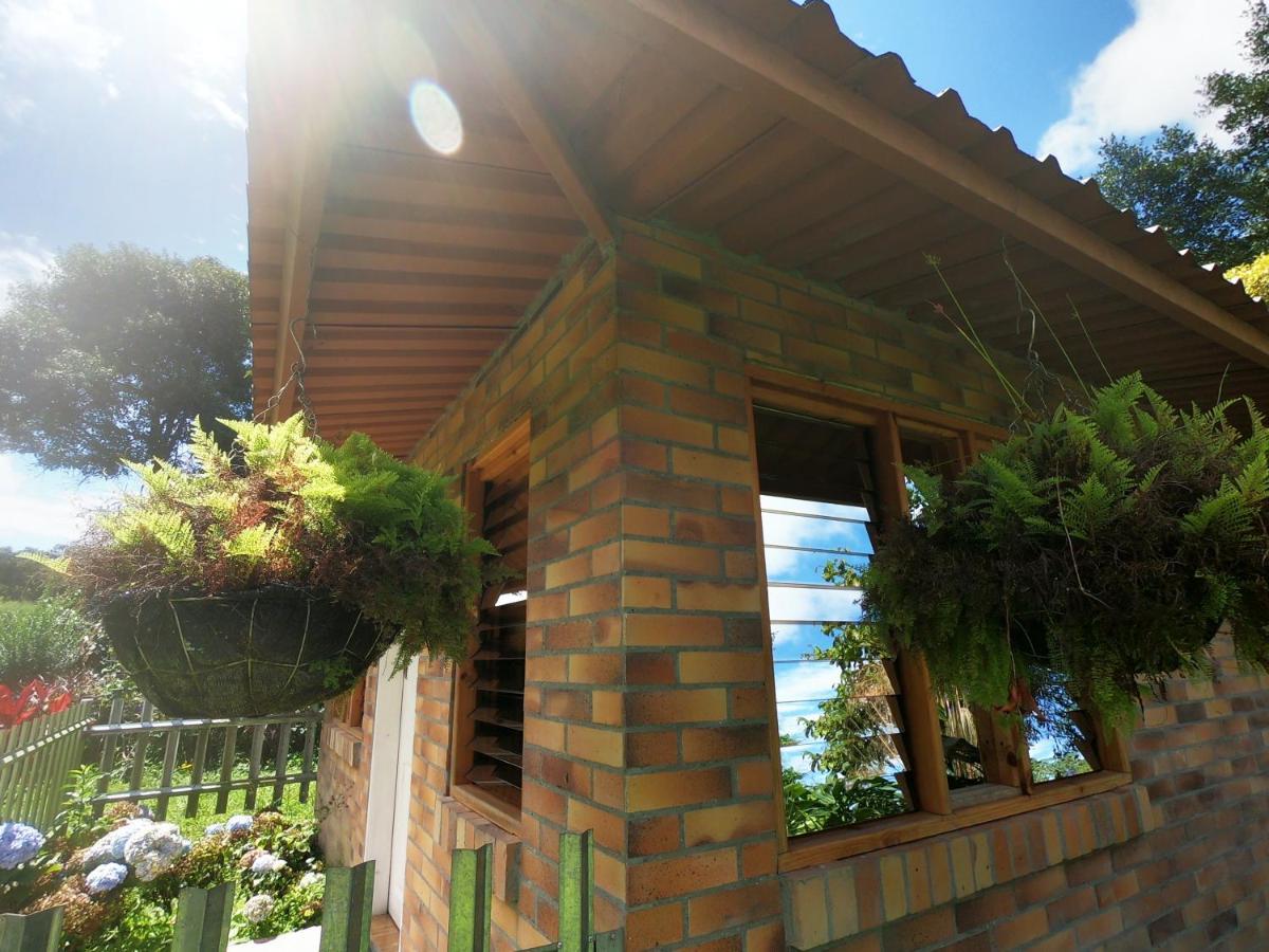 Tribu Ecohostal Los Santos  Eksteriør billede