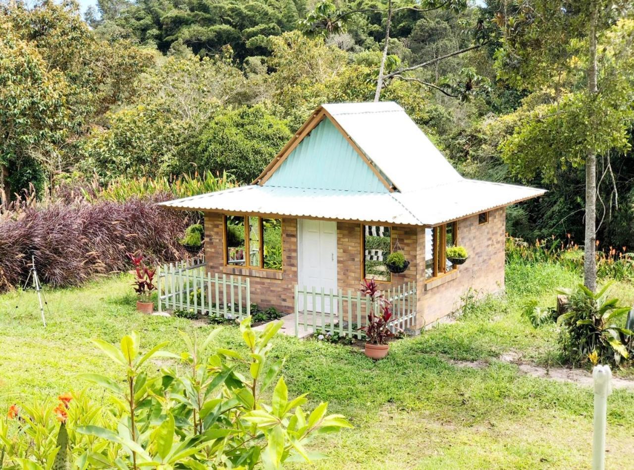 Tribu Ecohostal Los Santos  Eksteriør billede